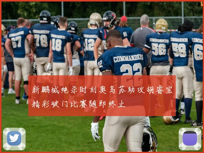 新鹏城绝杀时刻奥乌苏助攻胡睿宝精彩破门比赛随即终止